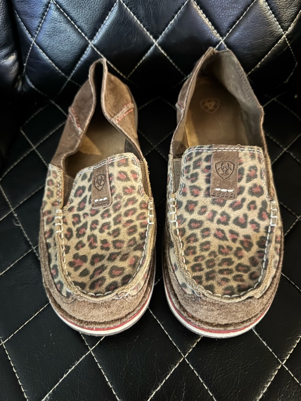 Ariat cruisers